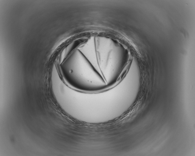 X0000112491352200908311423