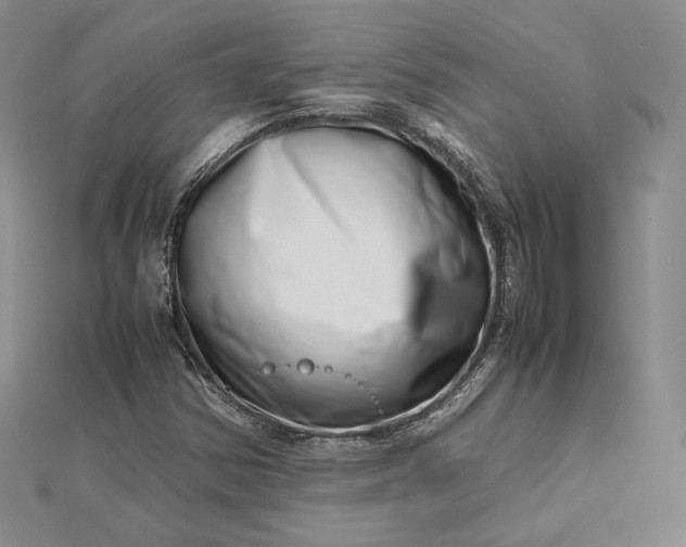 X0000112491354200908311423