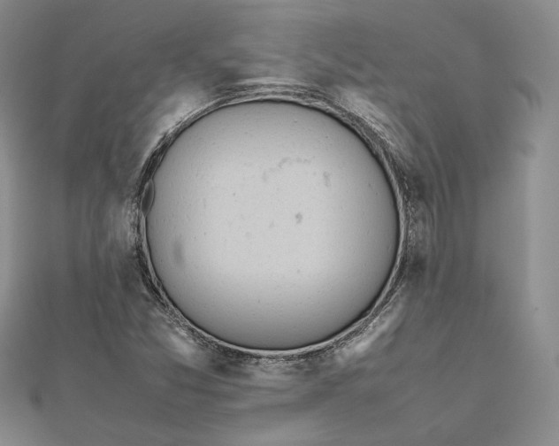 X0000112491357200908311423