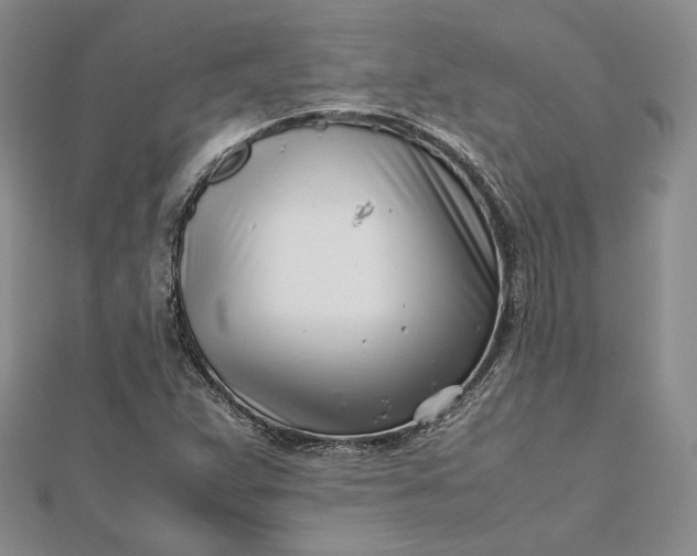 X0000112491359200908311423