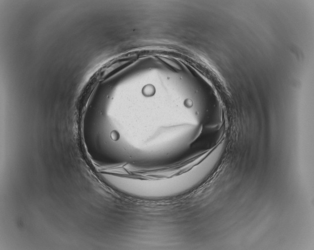 X0000112491360200908311423