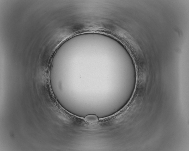 X0000112491361200908311423