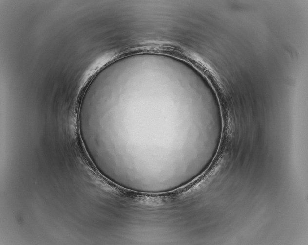 X0000112491362200908311423