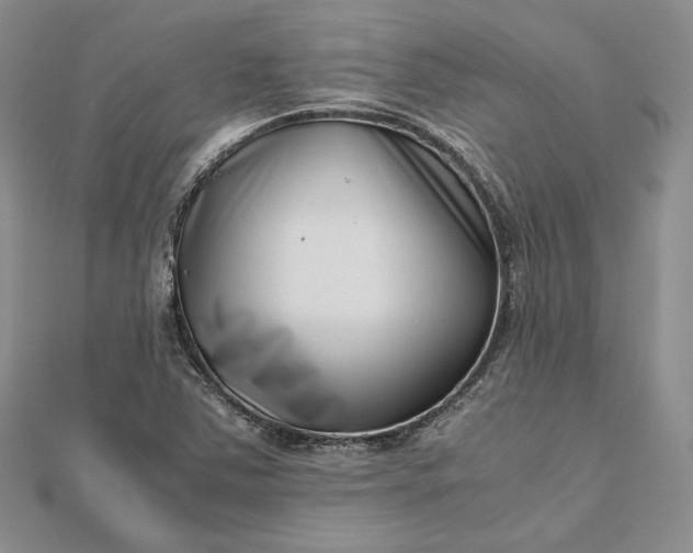 X0000112491363200908311423