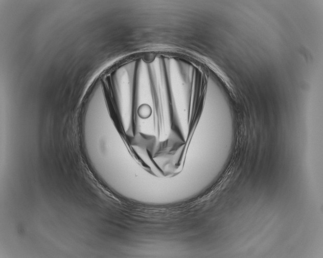 X0000112491364200908311423