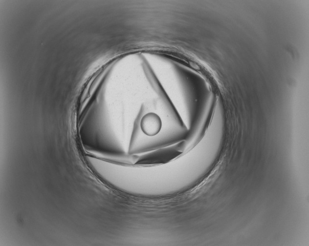 X0000112491365200908311423