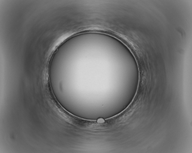 X0000112491367200908311423