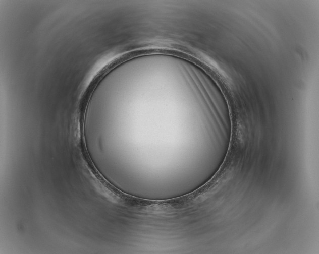 X0000112491368200908311423