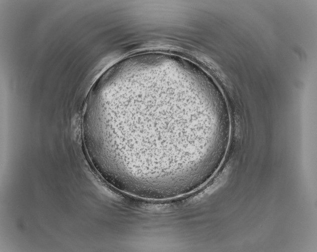 X0000112491369200908311423