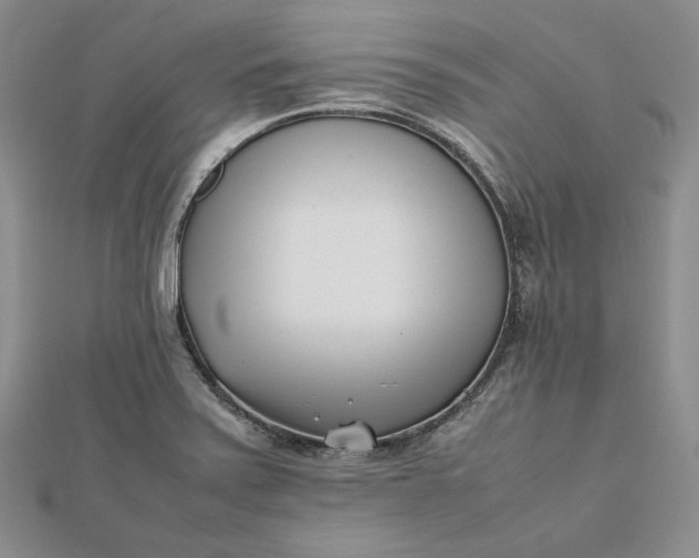 X0000112491371200908311423