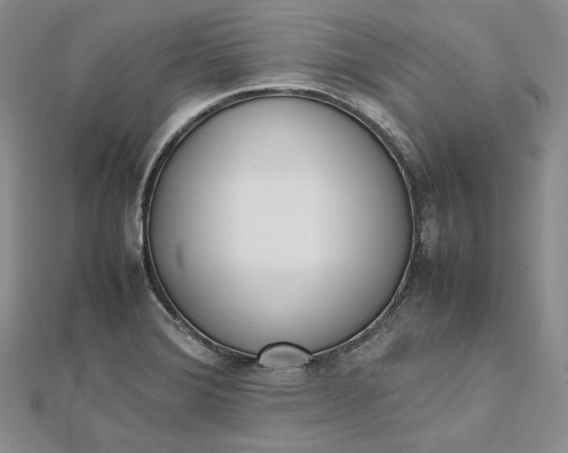 X0000112491372200908311423