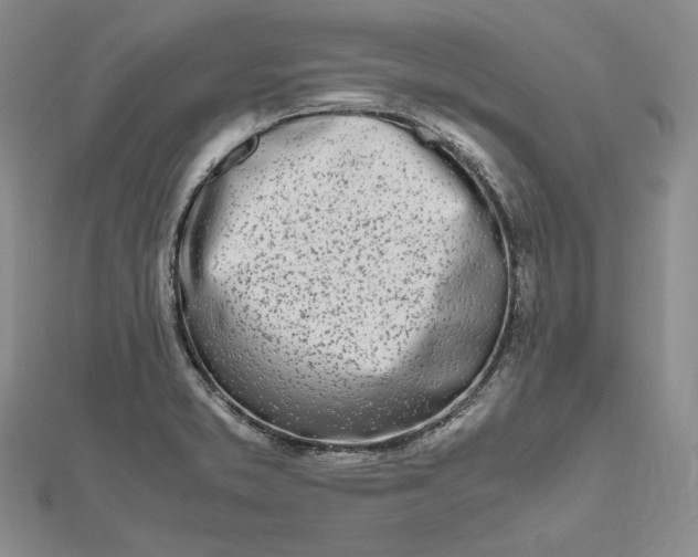 X0000112491373200908311423