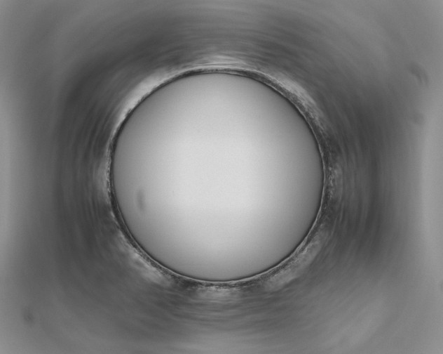 X0000112491374200908311423