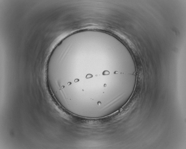 X0000112491375200908311423