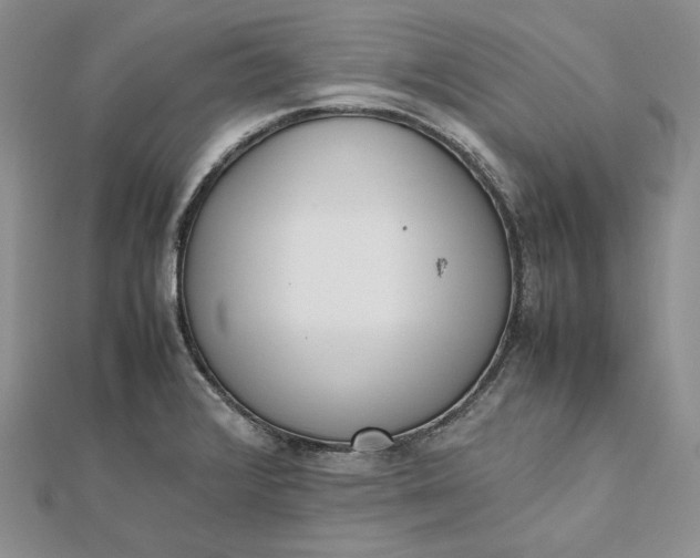 X0000112491376200908311423