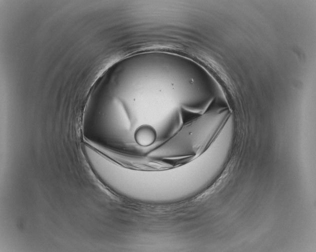 X0000112491377200908311423