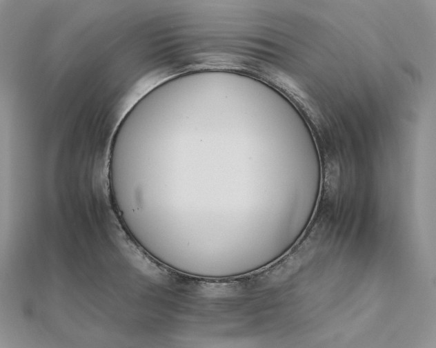 X0000112491378200908311423