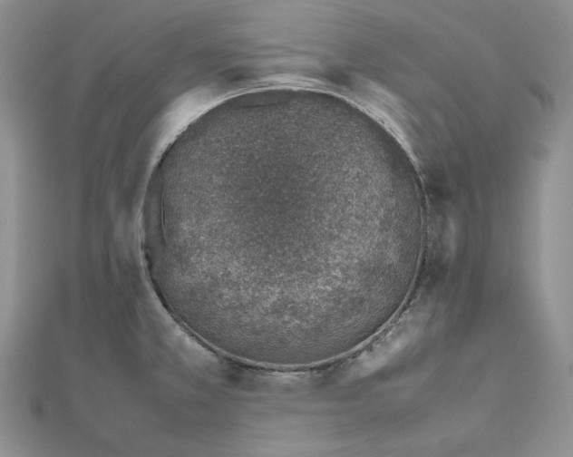 X0000112491381200908311423