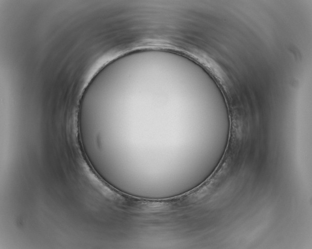 X0000112491382200908311423