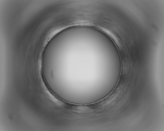 X0000112491383200908311423