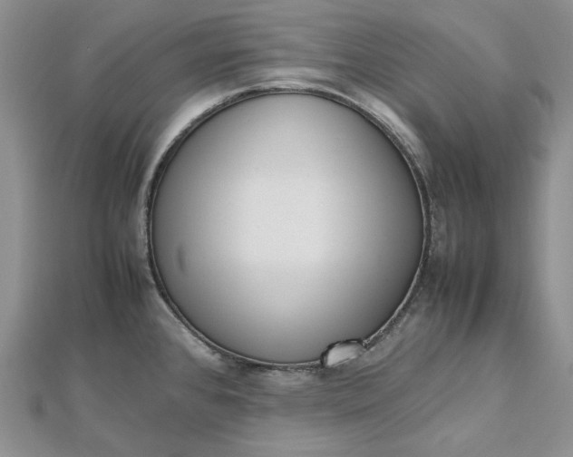 X0000112491384200908311423