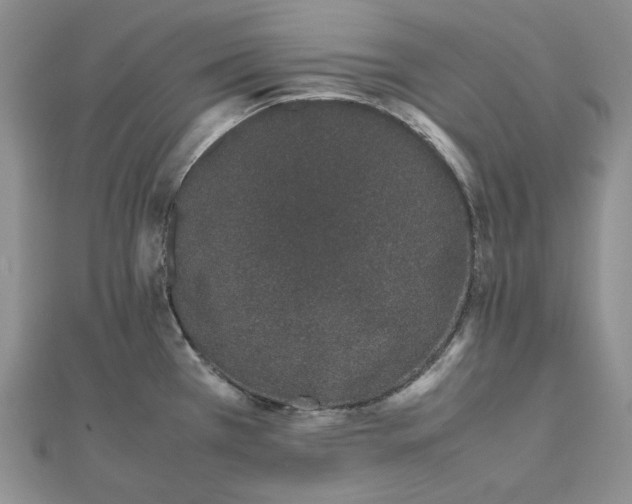 X0000112491385200908311423