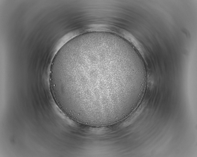 X0000112491386200908311423