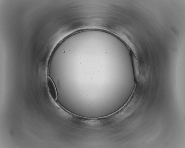 X0000112491388200908311423