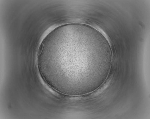 X0000112491389200908311423