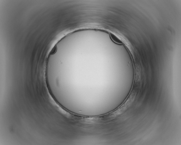 X0000112491390200908311423