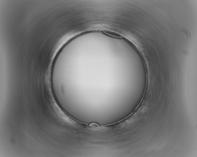 X0000112491392200908311423