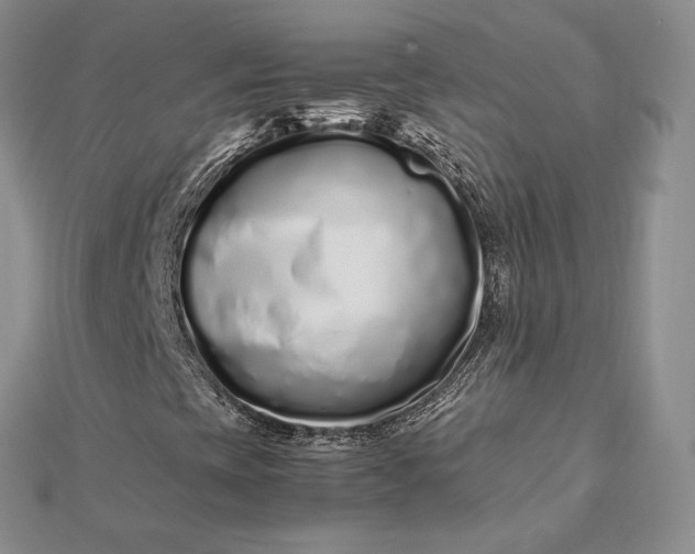 X0000112491393200908311422