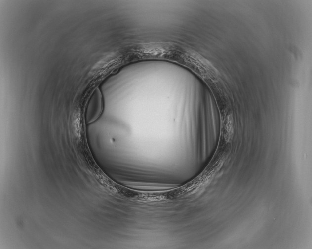 X0000112491394200908311422