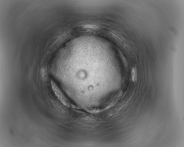 X0000112491395200908311422