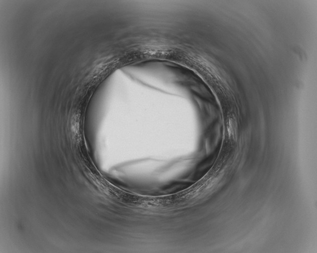 X0000112491396200908311422