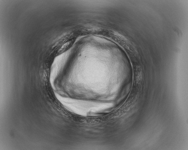 X0000112491397200908311422