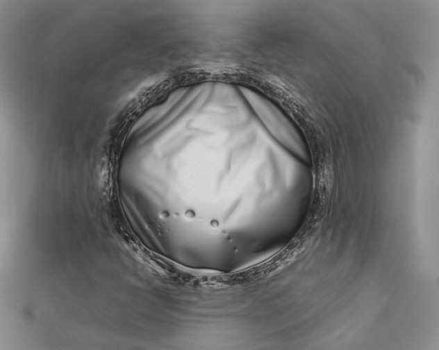 X0000112491398200908311422