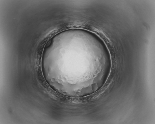 X0000112491399200908311422