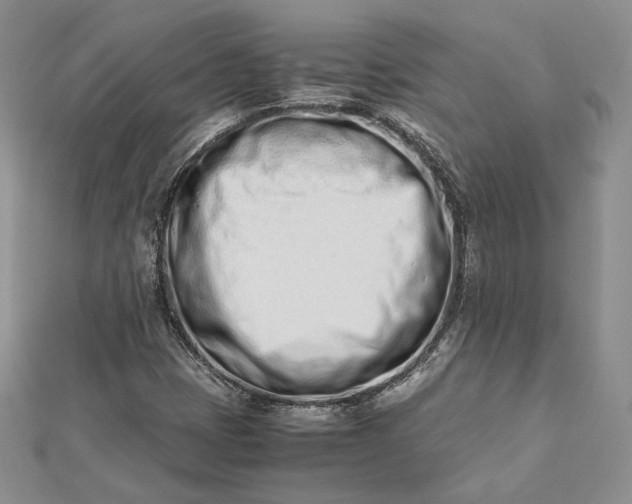 X0000112491401200908311422