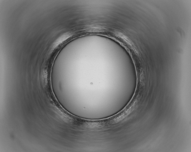 X0000112491402200908311422