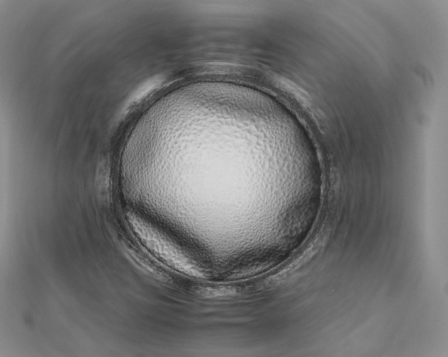 X0000112491403200908311422