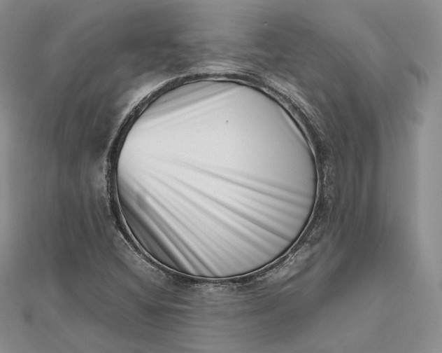 X0000112491404200908311422