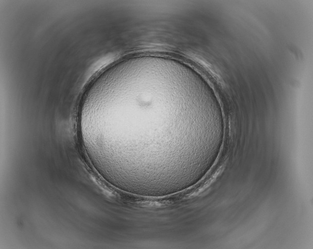 X0000112491405200908311422