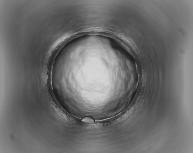 X0000112491406200908311422