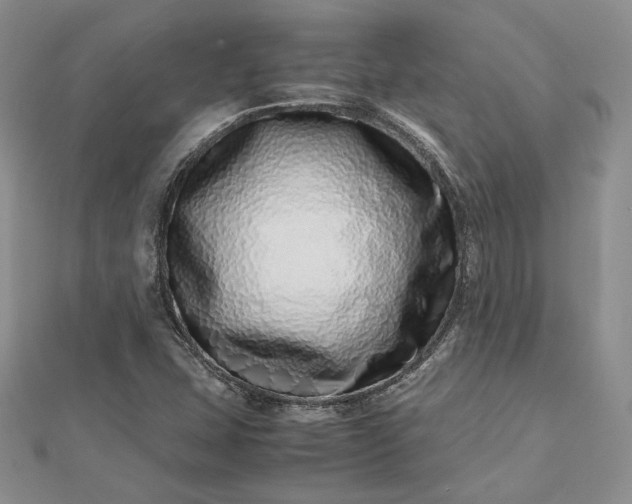 X0000112491407200908311422