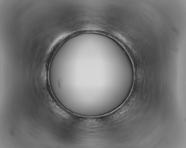 X0000112491408200908311422