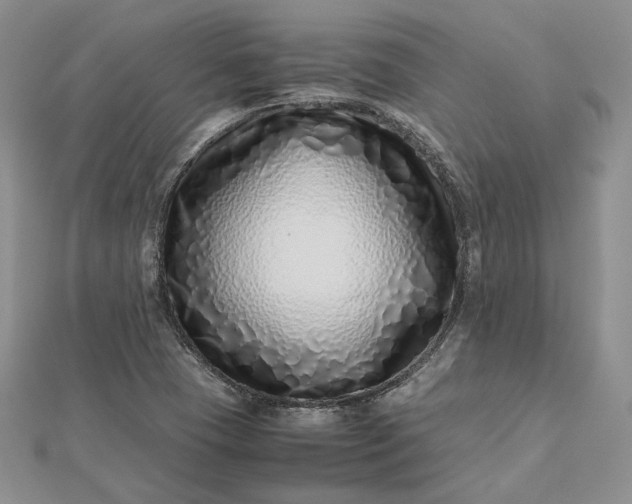 X0000112491409200908311422