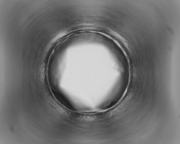 X0000112491411200908311422