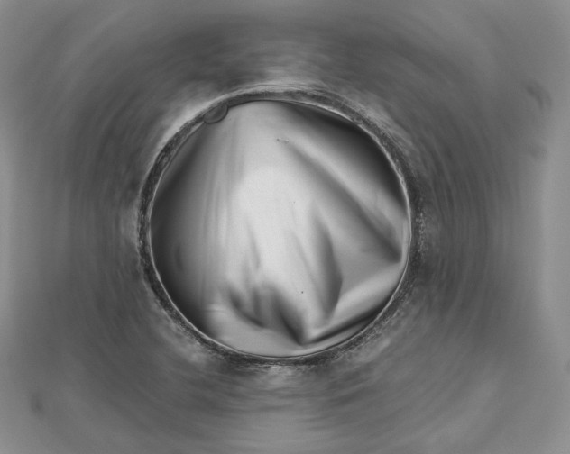 X0000112491412200908311422