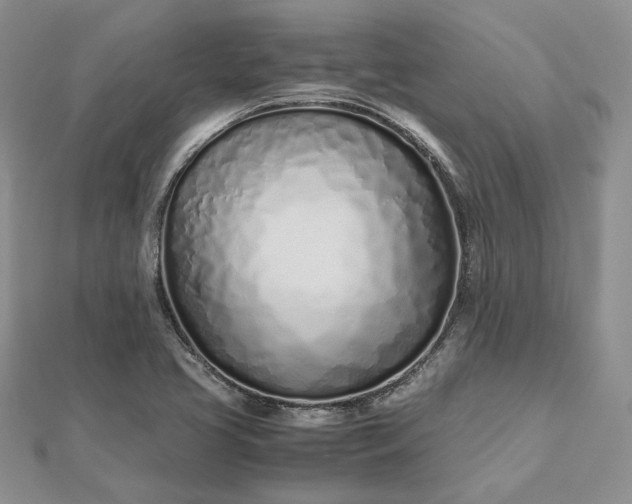 X0000112491413200908311422